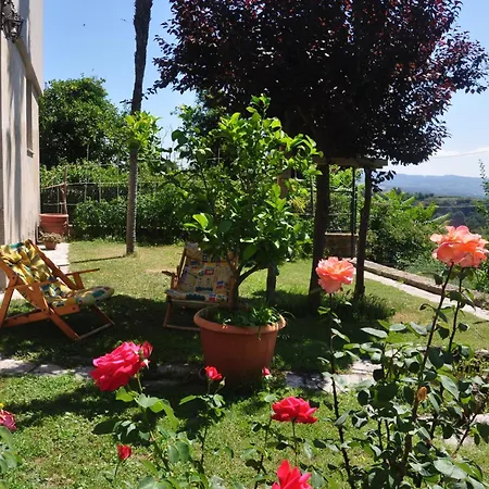 La Terrazza